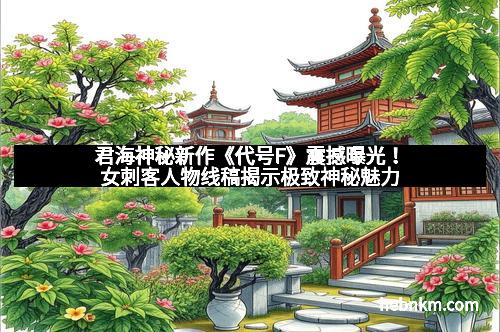 君海神秘新作《代号F》震撼曝光！女刺客人物线稿揭示极致神秘魅力